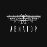 Авиатор, Воронеж