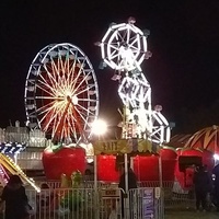 Manatee County Fairgrounds, Палметто, Флорида