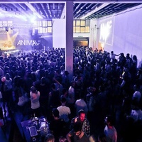 Vicious Club, Рим