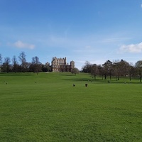 Wollaton Park, Ноттингем