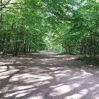 Hainault Forest Country Park, Илфорд