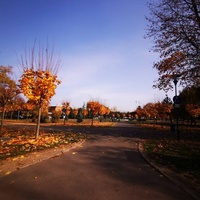 Parcul Sportiv, Брашов