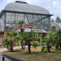 Palmengarten Musikpavillon, Франкфурт