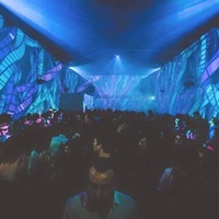 Helios 37, Кёльн