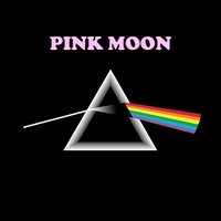 PINK MOON (Pink Floyd Tribute)
