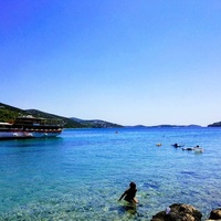 The Garden Resort, Тисно