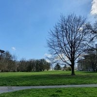 Сюси-ан-Бри