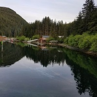 Элфин Ков, Аляска