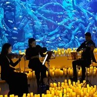 Global Omnium Auditorio, Севилья