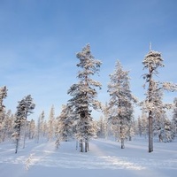 Саариселькя