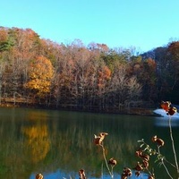 Хеджесвилл, Западная Виргиния