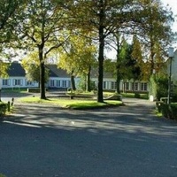 Dominiek Savio, Хогледе