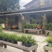 Brown & Brown Farms and Country Store, Оксфорд, Флорида