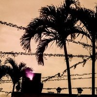 The Brooklyn Mirage at Avant Gardner, Нью-Йорк