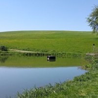 SEEPOGO Festival Grounds, Зельтерс