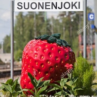 Suonenjoki central field, Суоненйоки