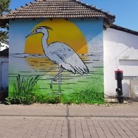 Orange Blossom Festival Grounds, Беверунген