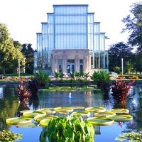 Forest Park, Сент-Луис, Миссури