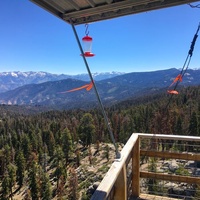 Хум, Калифорния