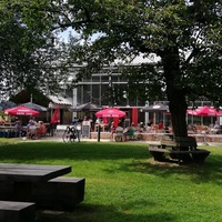 Cafe Paddenbroe, Гойк