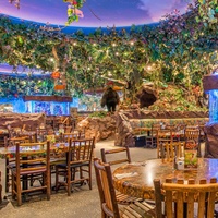 Rainforest Cafe, Лейк Буэна Виста, Флорида