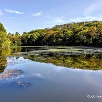 Треву-Трегиньек