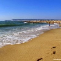 Фигейра-да-Фош