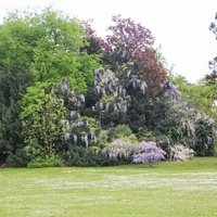 Plaine de Jeux de Bagatelle, Париж