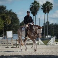 Bob Thomas Equestrian Center, Тампа, Флорида