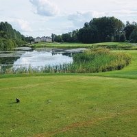 Palmerstown House Estate, Джонстаун