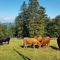 Сент-Обен-Сож