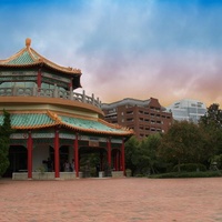 Норфолк, Виргиния