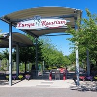Europa Rosarium, Зангерхаузен