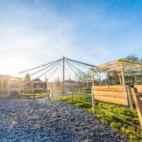 FREDS Garten, Тун