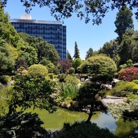 Сан-Матео, Калифорния