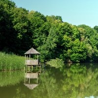 Rezervația naturală "Codrii", Лозова