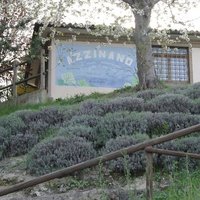 Pro Loco, Терамо