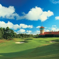 Террей Хилс