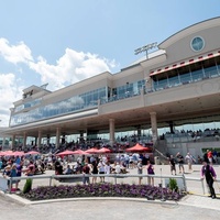The Meadows Racetrack & Casino, Вашингтон, Пенсильвания
