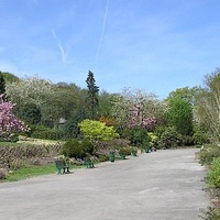 Haworth Park, Белвью, Небраска