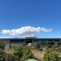 Norval Foundation, Кейптаун