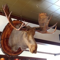 Mac's Bar & Wildlife Grille, Маунтин-Айрон, Миннесота