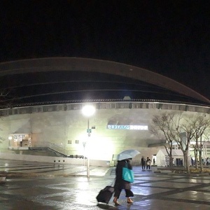 Rock concerts in Sekisui Heim Super Arena, Рифу