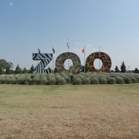 Abilene Zoo, Абилин, Техас