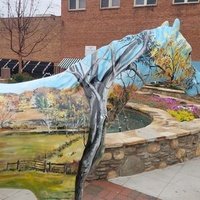 Трион, Северная Каролина