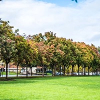 Купертино, Калифорния