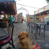 Cafe Da Vinci, Деленд, Флорида