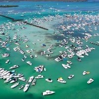 Boca Grande Sandbar, Пласида, Флорида