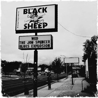Black Sheep, Колорадо-Спрингс, Колорадо