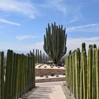 Jardines de México, Теуикстла